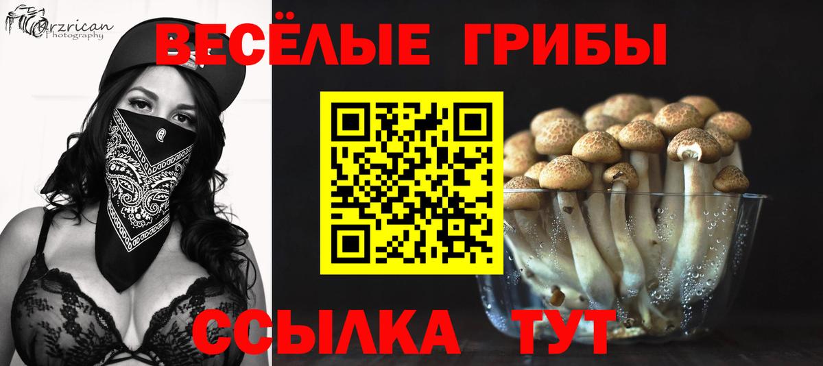 Медногорск  Псилоцибиновые грибы прущие грибы  Псилоцибиновые грибы Psilocybe  Вход с VPN 